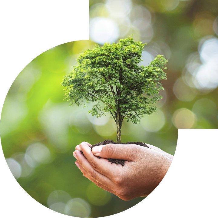 关怀人类、文化、环境与社会